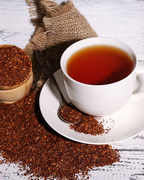 Rooibos
